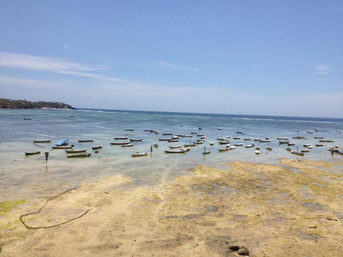 Lembongan Hostel Nusa Lembongan Zewnętrze zdjęcie
